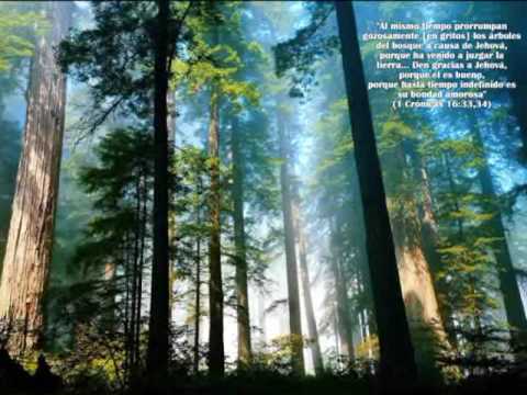 kingdom melodies - Song 150.