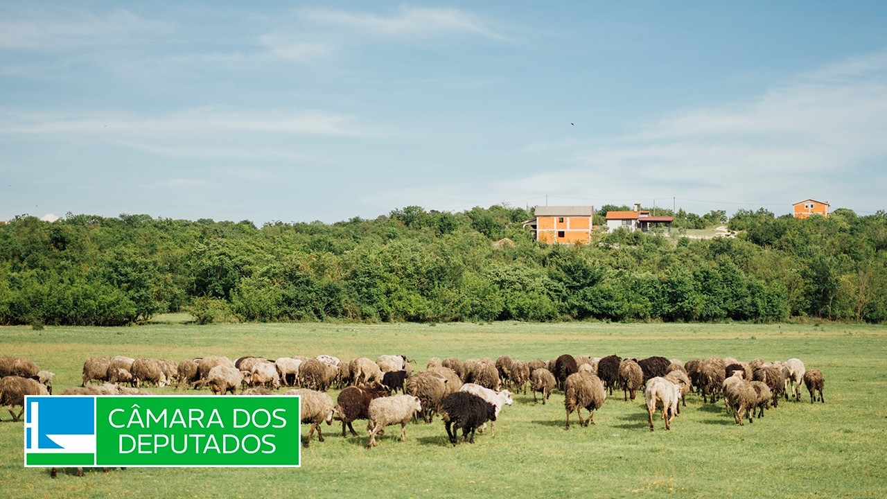 Agricultura, Pecuária, Abastecimento e Desenv. Rural - Discussão e votação de propostas - 29/04/2026