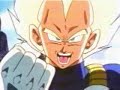 All Vegata Wanted was some body that cared
