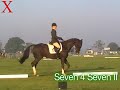 Seven 4 Seven II from Exmoor Eventing