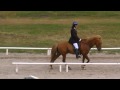Hestar. Horses.
