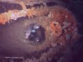 sous marin Uboat U390