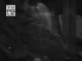 videos de Requiem for a Memory Trailer
