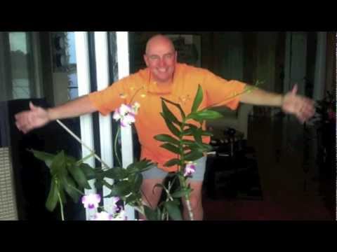 User submitted video