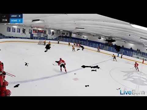 Caleb Carlance  #11 Center (All Shifts) NJ Titans 16u Premier   vs   CT Elite 16u AAA 02-08-2025