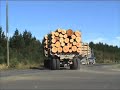 Off Road Mack Logger