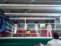 BOXVEREIN KLEEFELD Moschtaba 20.06.10