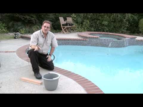 video-linktoworks-Home & Lawn Pest Control : How to Get Rid of Chipmunks