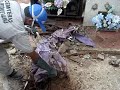 VIDEO TIRANDO OS RESTOS MORTAIS DE UM TÚMULO DEPOIS DE 29 ANOS DE ENTERRADO O JOVEM FALECEU NO DIA 19/02/1979 E FOI RETIRADO DIA 27/03/08VIDEO 02 DE 03--------------------------------------VIDEO TAKING the remains of a grave AFTER 29 YEARS OF BuryYOUNG IN THE DECEASED DAY 19/02/1979 and was withdrawn DAY 27/03/08VIDEO 02 of 03 ----------------------------------------VIDEO TENIENDO los restos de una tumba después de 29 años de BuryJOVEN FALLECIDO EN EL DIA 19/02/1979 y fue retirado DÍA 27/03/08VIDEO 02 de 03 -------------------------------------PRESA VIDEO i resti di una tomba, DOPO 29 ANNI DI BuryGIOVANI NEL GIORNO DECEDUTI 19/02/1979 e è stata ritirata GIORNO 27/03/08VIDEO 02 del 03 ----------------------------------------VIDEO PRENANT les restes d'une grave APRES 29 ANS DE BuryLES JEUNES DANS LE DEFUNT JOUR 19/02/1979 et a été retiré JOUR 27/03/08VIDEO 02 de 03 ---------------------------------------VIDEO UNTER die Reste eines schweren NACH 29 JAHREN DER BuryYOUNG IN DER VERSTORBENEN TAG 19/02/1979 und wurde zurückgezogen TAG 27/03/08VIDEO 02 von 03 -------------------------------------以视频的遗骸严重积29年的伯里年轻的死者节19/02/1979和被撤回日27/03/08视频02 03 -----------------------------------동영상이 무덤에 묻어 29 년 후 유골을 데리고고인과 앞집에 하루 하루 19/02/1979 철회됐다 27/03/0803 비디오 02 -------------------------------ビデオは、重大なベリーの29年後のままTAKING故人デイ19/02/1979インディアナ、若いデイ27/03/08撤回された03のビデオ02 ------------------------VIDEO TAKING τα ερείπια ενός σοβαρού ΤΗΝ 29Η ΧΡΟΝΙΑ BuryΝέων στο εκλιπόντος ΗΜΕΡΑ 19/02/1979 και αποσύρθηκε ΗΜΕΡΑ 27/03/08VIDEO 02 του 03 ----------------------------------ВИДЕО TAKING остается серьезной после 29 ЛЕТ БурыйМОЛОДЫЕ В ДЕНЬ 19/02/1979 умерших и был снят ДЕНЬ 27/03/08VIDEO 02 03 ---------------------------بالصوت والصورة وأخذا رفات خطيرة بعد 29 عاما من بوريالشباب في المتوفى يوم 19/02/1979 وكان سحبت اليوم 27/03/08بالصوت والصورة 02 من 03---------------------------------VIDEO TAKING τα ερείπια ενός σοβαρού ΤΗΝ 29Η ΧΡΟΝΙΑ BuryΝέων στο εκλιπόντος ΗΜΕΡΑ 19/02/1979 και αποσύρθηκε ΗΜΕΡΑ 27/03/08VIDEO 02 του 03 ----------------------------------वीडियो में एक कब्र बाद Bury के 29 वर्ष बनी हुई है ले जामृतक दिवस 19/02/1979 में और युवा दिवस 27/03/08 वापस ले लिया गया03 के वीडियो 02