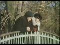 videos de Goodbye Summer - Do svidanya leto part 13