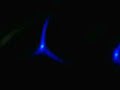 Mike Cooper - Po Mahina (Night Moon) Mike Cooper - Po Mahina (Night Moon)