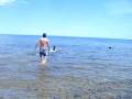 videos de kelpie x lab. Byron goes to Brighton beach.