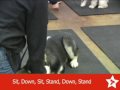 See video