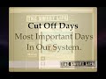 The Sweet Life System - Xocai The Sweet Life System - Xocai