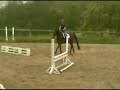 Tioga 16.2 Green Hunter Tioga 16.2 Green Hunter