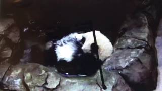 Smithsonian National Zoo