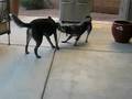 Tug of War