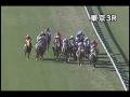 videos de [パトロールビデオ] 081122 5東京5 03R