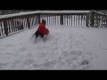 videos de Greyhound (Cofax) having fun in snow 12 2 08 pt 1