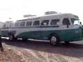 Flxible bus