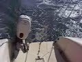foreverfun marina julia  vela sail sailing fun jeanneau 2