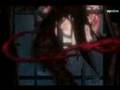 Alucard vs Rammstein
