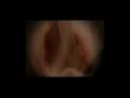 videos de Amanda GRIS - Llevame
