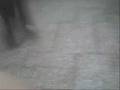 videos de io bailando elektro.wmv
