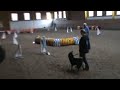 Nikolauscup-shari-JP.wmv