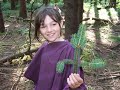 Présentation groupe scout de France 5ème Epinal La Vierge.
