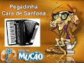 Mucao.com.br - Pegadinha - Cara de Sanfona