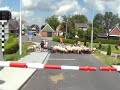 Tweelingdorp026   Schaap &amp; Co26   weide   3.20