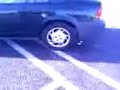Car Crushes Coconut
