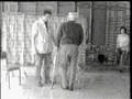 trendelenburg gait