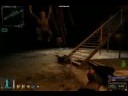 SNORK FIGHTS!!!