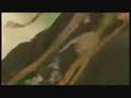 videos de MAHAVATAR  Woodstock