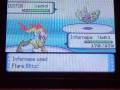 videos de pokeforce1996 gafe