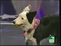 Katy and Keili on Pet Star