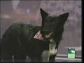 katy and keili on pet star