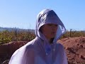 Fuchia Cape