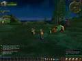 WoW private server bosses