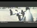 Penguins are two steping
