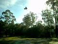 Snoopy Dart Final