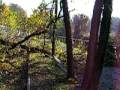 videos de Pista ciclabile Valle Olona 161108