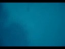 054???????????????? 054????????????????