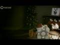 Portal - Aperture Science Holiday
