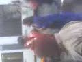 Hindi Movie Shoting in Swiss Hindi Movie Shoting in Swiss