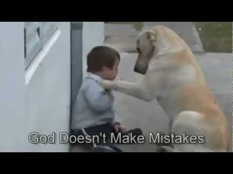 Sweet Mama Dog Interacting with a Beautiful Child with Down Syndrome Jim Stenson