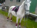 ∙•♥Ein Wunder- Kitchy