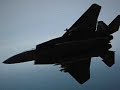 F-15DJ Aggressor goofing in OVER-G